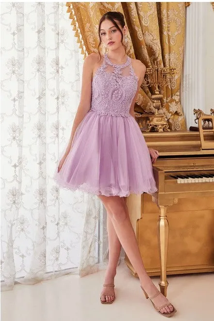 Lavender Queen Tulle Short Dress