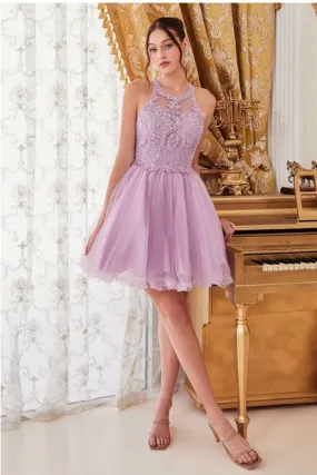 Lavender Queen Tulle Short Dress