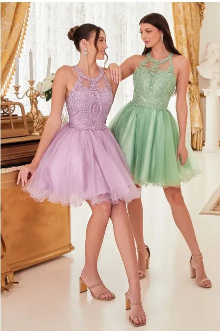 Lavender Queen Tulle Short Dress